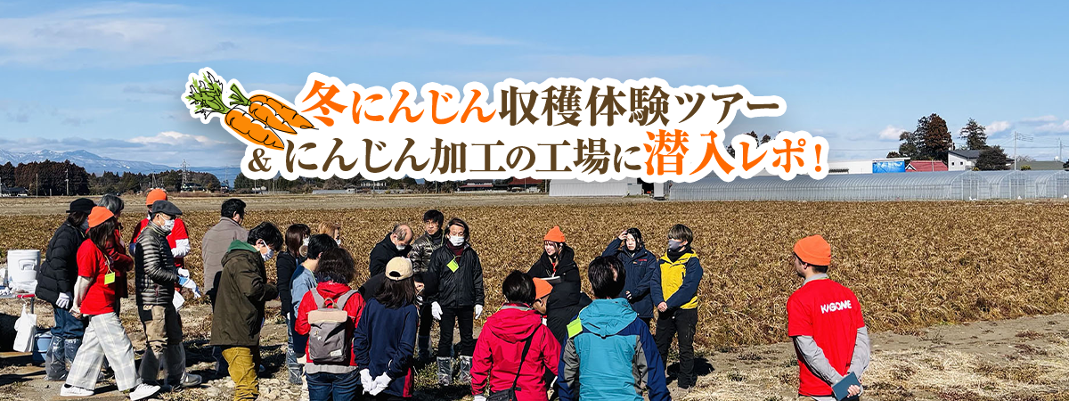 冬にんじん収穫体験ツアー