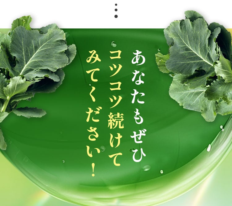 あなたもぜひコツコツ続けてみてください