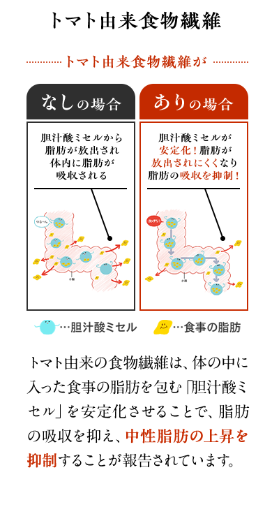トマト由来食物繊維　トマト由来の食物繊維は、体の中に入った食事の脂肪を包む「胆汁酸ミセル」を安定化させることで、脂肪の吸収を抑え、中性脂肪の上昇を抑制することが報告されています。