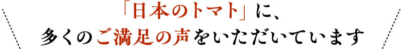 日本のトマト」に、多くのご満足の声をいただいています