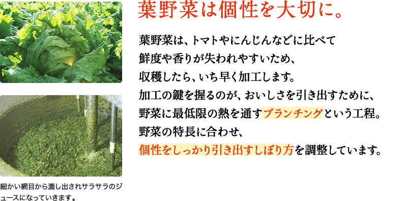 葉野菜は個性を大切に。　それぞれの野菜の特長に合わせ、個性をしっかり引き出す破砕方法や搾り方の強さを調整しています。