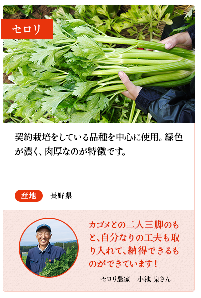 セロリ　契約栽培をしている品種を中心に使用。緑色が濃く、肉厚なのが特徴です。　産地 長野県　セロリ農家　小池 竜介さん 親子二代に渡り、厳しい農薬基準をクリアした新鮮なセロリ栽培に取り組んでいます。