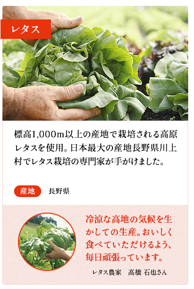 レタス　標高1,000m以上の産地で栽培される高原レタスを使用。日本最大の産地長野県川上村でレタス栽培の専門家が手がけました。　産地 長野県　レタス農家　高橋 石也さん 冷涼な高地の気候を生かしての生産。おいしく食べていただけるよう、毎日頑張っています。
