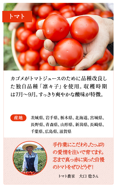 トマト　カゴメがトマトジュースのために品種改良した独自品種「凛々子」を使用。収穫時期は7月～9月。すっきり爽やかな酸味が特徴。　産地 茨城県、岩手県、栃木県、北海道、宮城県、長野県、青森県、山形県、新潟県、長崎県、千葉県、広島県、滋賀県　トマト農家　中根 匡志さん 夏の暑い中での収穫は大変ですが、丹精込めて育てた真っ赤に熟したトマトをお届けします！