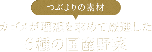 つぶよりの素材　カゴメが理想を求めて厳選した6種の国産野菜