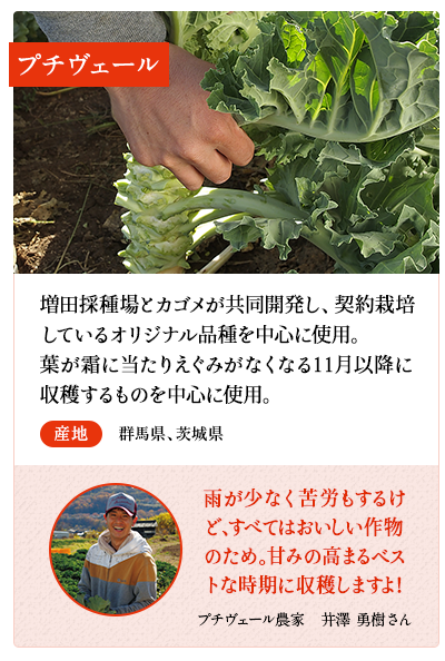 プチヴェール（R)　増田採種場とカゴメが共同開発し、契約栽培しているオリジナル品種を中心に使用。葉が霜に当たりえぐみがなくなる11月以降に収穫するものを中心に使用。　産地 群馬県、茨城県　プチヴェール農家　竹之内 光昭さん 甘みが出やすい恵まれた気候の中で、おいしいものを届けられるようにしっかり手をかけて育てています。　※プチヴェールは、株式会社増田採種場の登録商標です。
