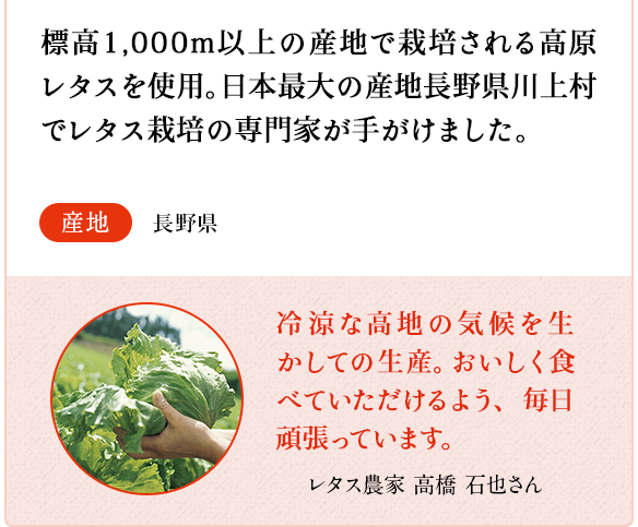レタス　標高1,000m以上の産地で栽培される高原レタスを使用。日本最大の産地長野県川上村でレタス栽培の専門家が手がけました。　産地 長野県　レタス農家　高橋 石也さん 冷涼な高地の気候を生かしての生産。おいしく食べていただけるよう、毎日頑張っています。
