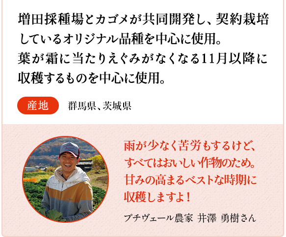 プチヴェール　増田採種場とカゴメが共同開発し、契約栽培しているオリジナル品種を中心に使用。葉が霜に当たりえぐみがなくなる11月以降に収穫するものを中心に使用。　産地 群馬県、茨城県　プチヴェール農家　竹之内 光昭さん 甘みが出やすい恵まれた気候の中で、おいしいものを届けられるようにしっかり手をかけて育てています。