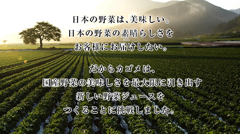日本の野菜は、美味しい。日本の野菜の素晴らしさをお客様にお届けしたい。だからカゴメは、国産野菜の美味しさを最大限に引き出す新しい野菜ジュースをつくることに挑戦しました。