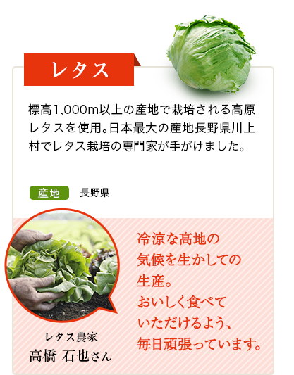 レタス　標高1,000m以上の産地で栽培される高原レタスを使用。日本最大の産地長野県川上村でレタス栽培の専門家が手がけました。　産地 長野県　レタス農家 高橋 石也さん 冷涼な高地の気候を生かしての生産。おいしく食べていただけるよう、毎日頑張っています。
