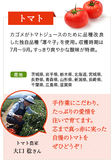 トマト　カゴメがトマトジュースのために品種改良した独自品種「凛々子」を使用。収穫時期は7月～9月。すっきり爽やかな酸味が特徴。　産地 茨城県、岩手県、栃木県、北海道、宮城県、長野県、青森県、山形県、新潟県、長崎県、千葉県、広島県、滋賀県 トマト農家 中根 匡志さん 夏の暑い中での収穫は大変ですが、丹精込めて育てた真っ赤に熟したトマトをお届けします！