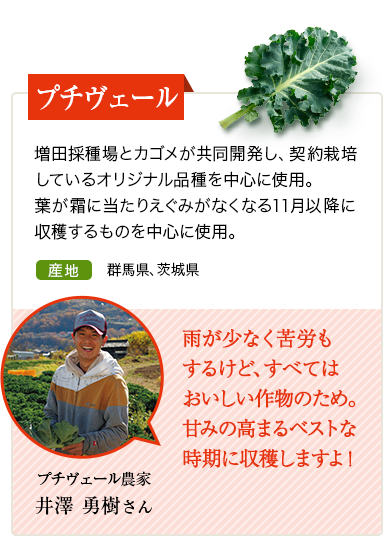 プチヴェール　増田採種場とカゴメが共同開発し、契約栽培しているオリジナル品種を中心に使用。葉が霜に当たりえぐみがなくなる11月以降に収穫するものを中心に使用。　産地 群馬県、茨城県　プチヴェール農家 竹之内 光昭さん 甘みが出やすい恵まれた気候の中で、おいしいものを届けられるようにしっかり手をかけて育てています。