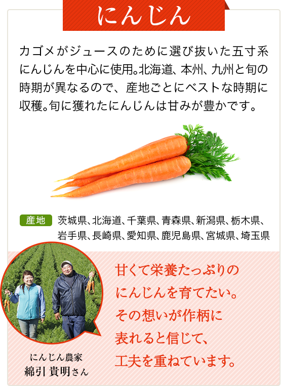 にんじん　カゴメがジュースのために選び抜いた五寸系にんじんを使用。8月に播種、本州では12月から2月にかけて収穫。この時期に穫れたにんじんは甘みが豊かです。　産地 茨城県、北海道、千葉県、青森県、新潟県、栃木県、岩手県、長崎県、愛知県　鹿児島県、宮城県、埼玉県　にんじん農家 綿引 貴明さん　甘くて栄養たっぷりのにんじんを育てたい。その想いが作柄に表れると信じて、工夫を重ねています。