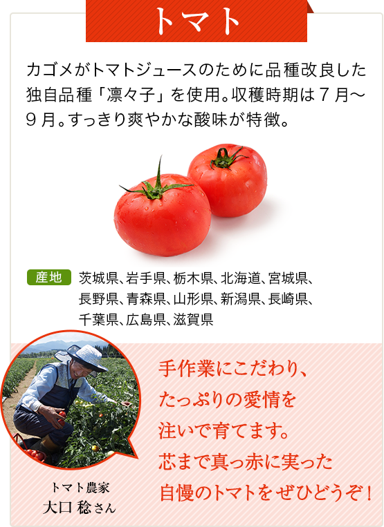 トマト　カゴメがトマトジュースのために品種改良した独自品種「凛々子」を使用。 収穫時期は7月～9月。すっきり爽やかな酸味が特徴。　産地 茨城県、岩手県、栃木県、北海道、宮城県、長野県、青森県、山形県、新潟県、長崎県、千葉県、広島県、滋賀県
          トマト農家 大口 稔さん 手作業にこだわり、たっぷりの愛情を注いで育てます。芯まで真っ赤に実った自慢のトマトをぜひどうぞ！