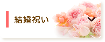 日本のトマト