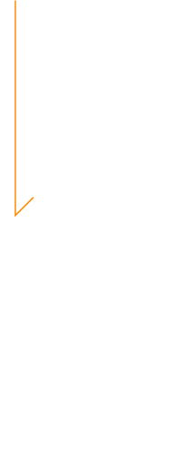 カゴメの想い